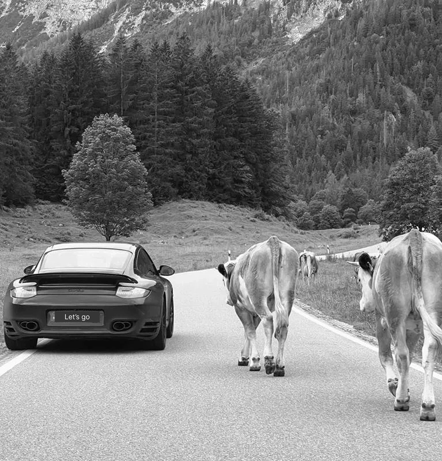 Persönliche Entwicklung